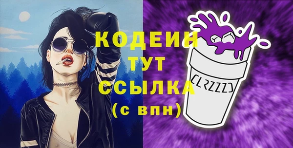 прущий лед Пересвет