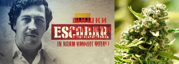 гашик Белоозёрский
